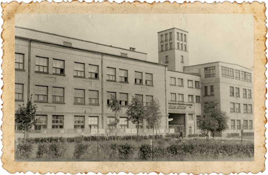 Projekta vīzija vēsture Grīziņdārzs